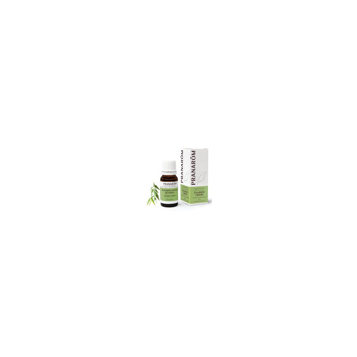 Pranarom Aceite Esencial Eucalipto radiata 10ml